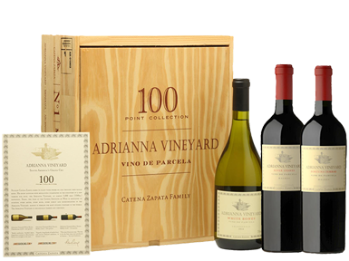 Bodega Catena Zapata Adrianna Vineyard 100 Point Collection Case 2.25L